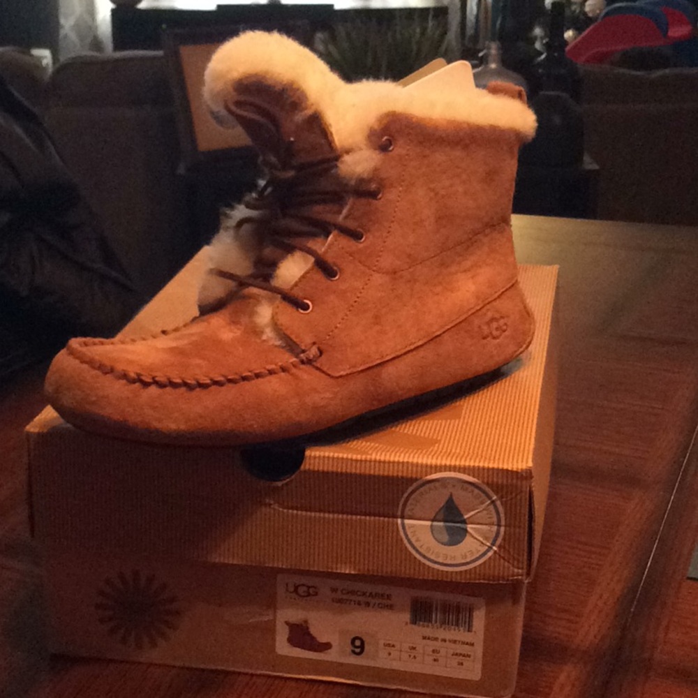 Chickaree uggs